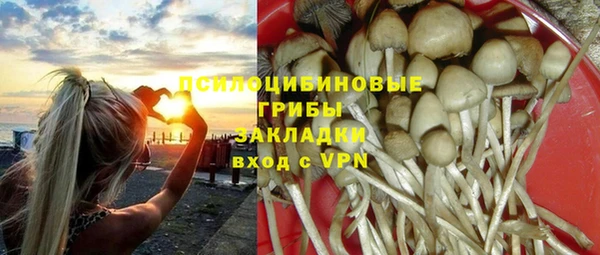дмт Богородицк