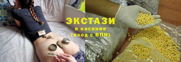 дмт Богородицк