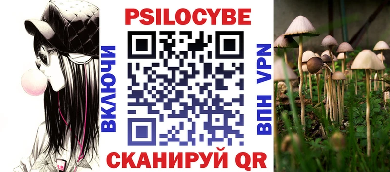 Псилоцибиновые грибы Psilocybine cubensis  Будённовск 